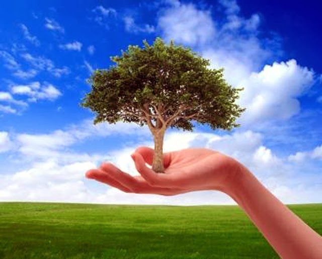 Essay in hindi on environment protection in hindi